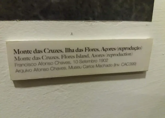 A Quinta Flores- Casa Do Miradouro بيت للعطل